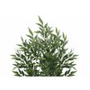 Monarch Specialties Artificial Plant 47" Tall Acacia Tree, Indoor, Faux, Fake, Floor, Greenery, Potted, Silk, Decorative I 9520
